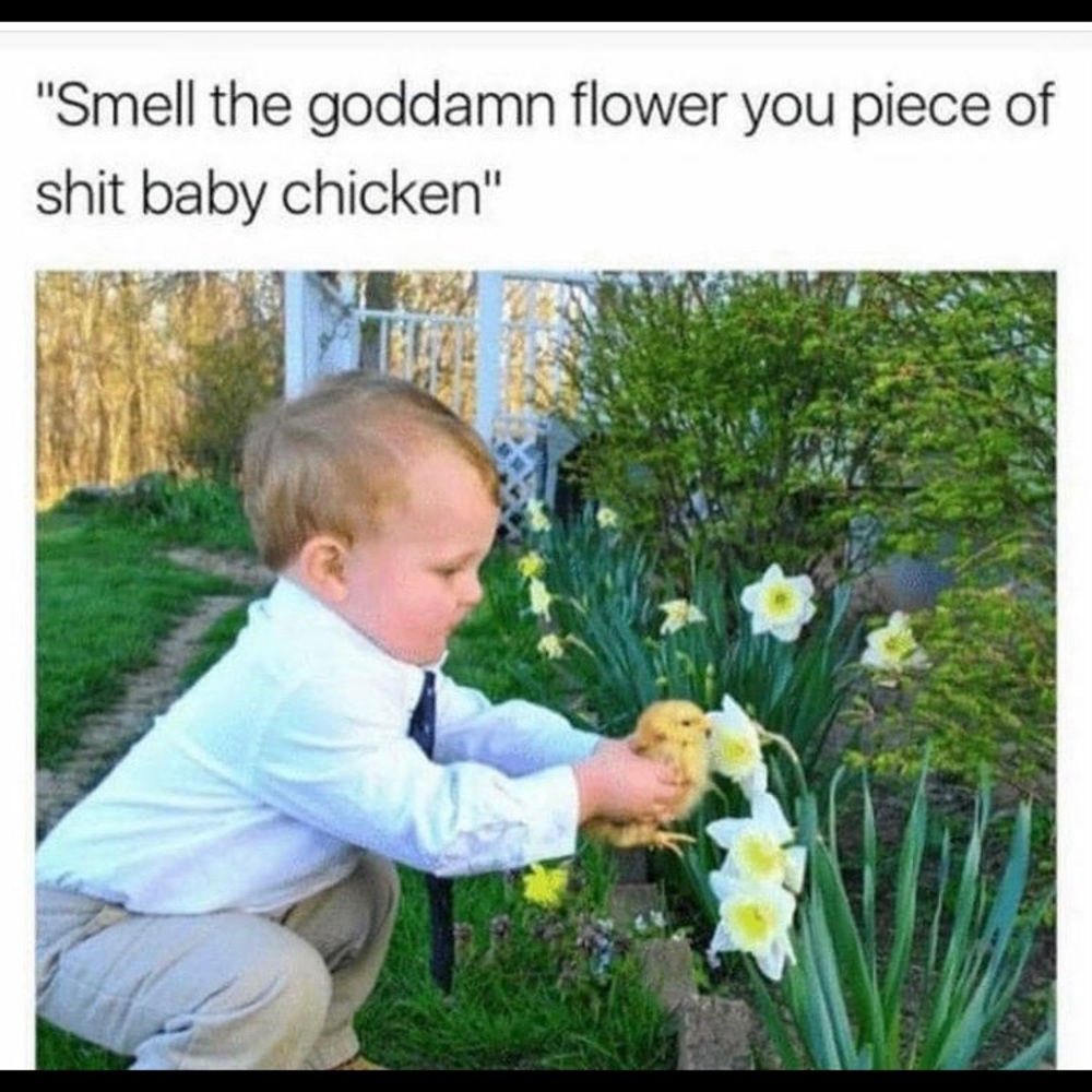 Meet your Posher, Elizabeth